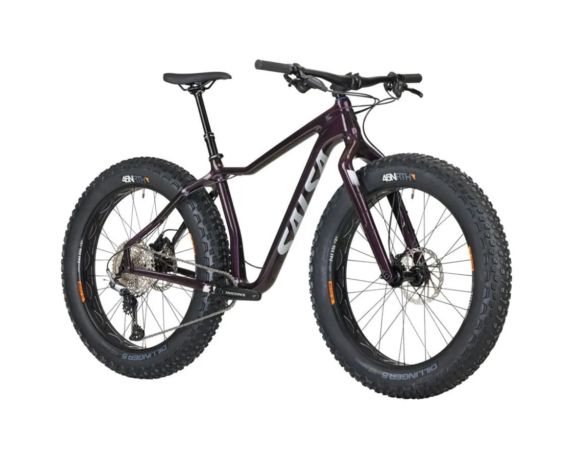 Salsa Heyday! C Deore 12 (Black Cherry) (M)