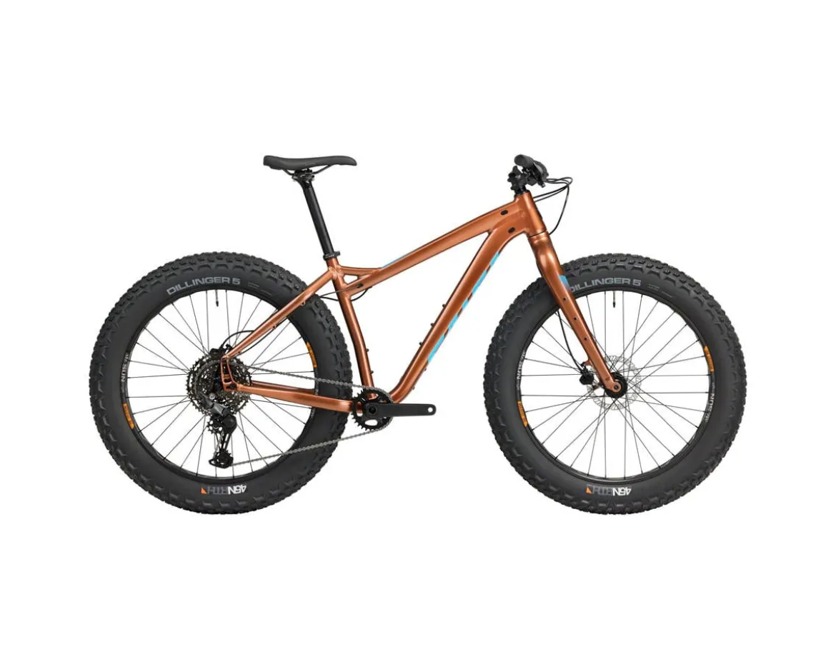 Salsa Heyday! Cues (Bronze) (XS)