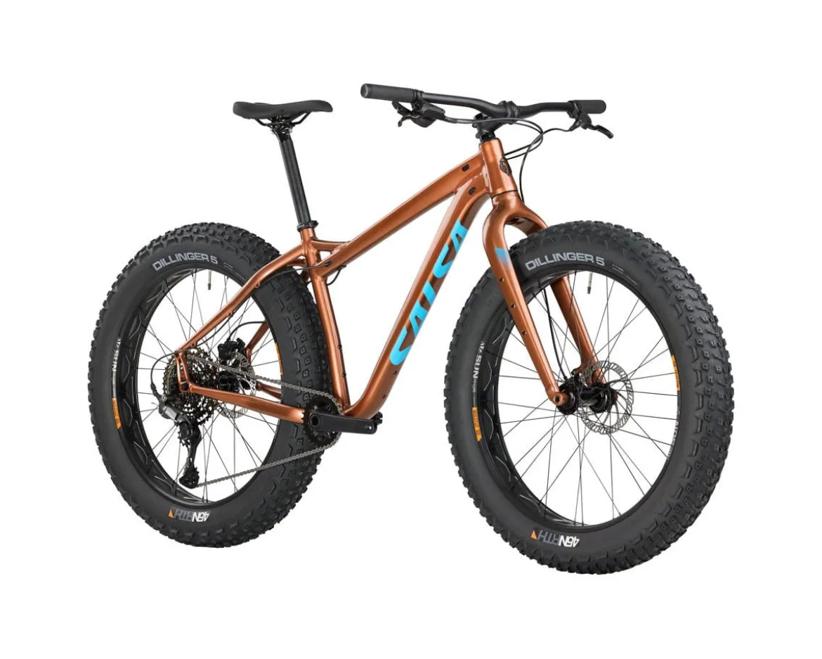 Salsa Heyday! Cues (Bronze) (XS)