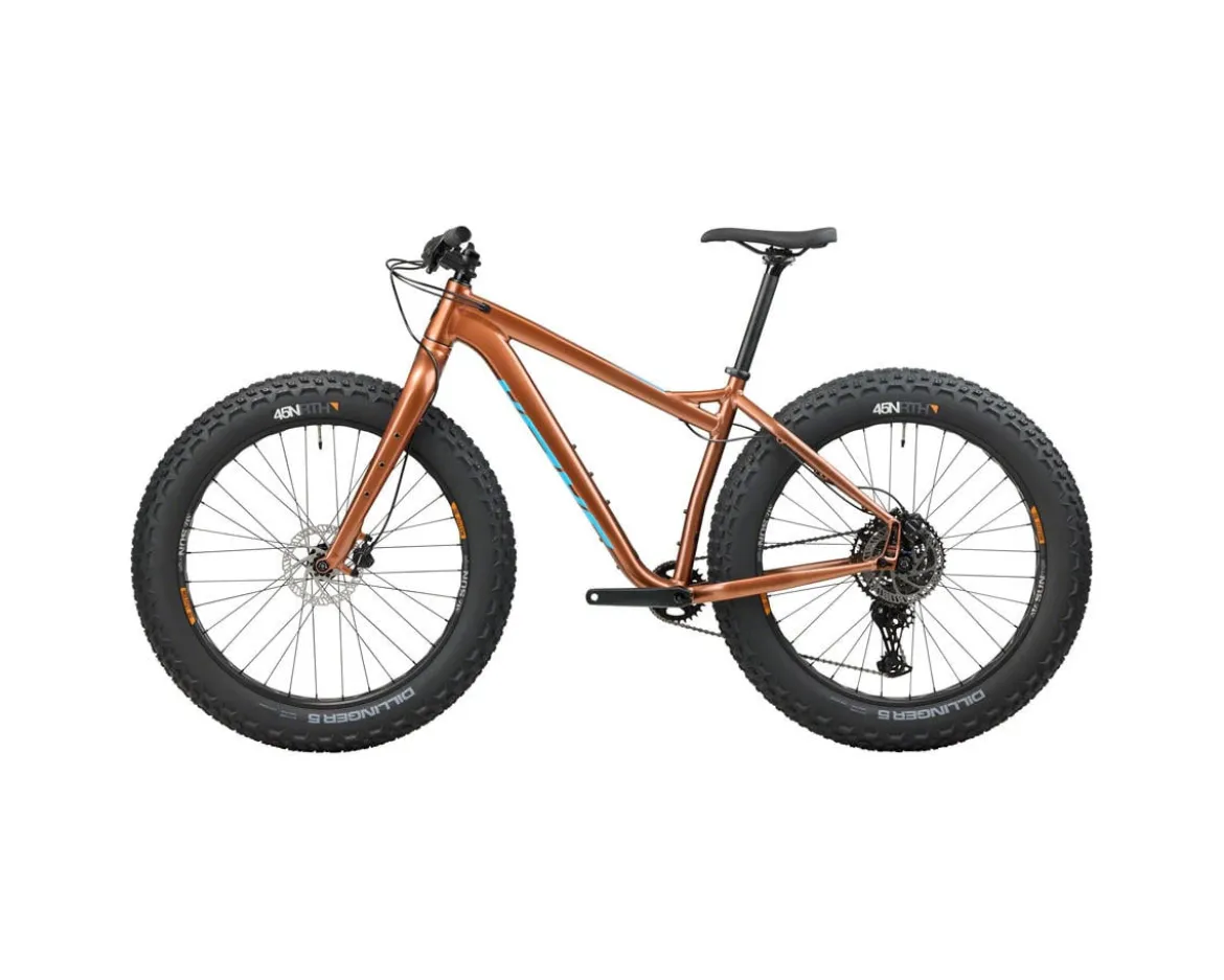 Salsa Heyday! Cues (Bronze) (XS)