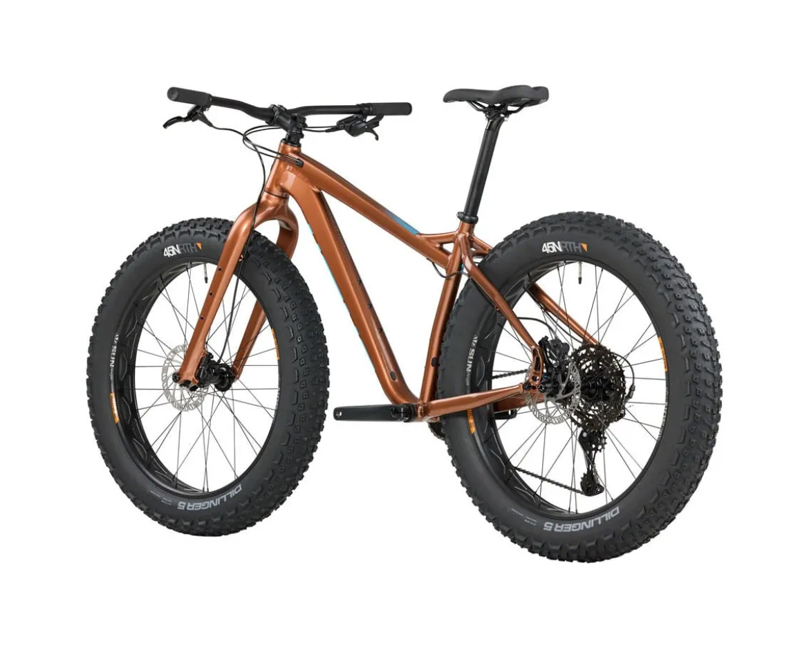 Salsa Heyday! Cues (Bronze) (XS)