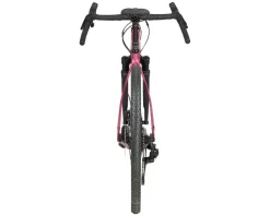 Salsa Stormchaser Apex Eagle SUS Gravel Bike (Berry) (56cm)