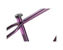 Salsa Timberjack Frame (Deep Orchid) (29/27.5