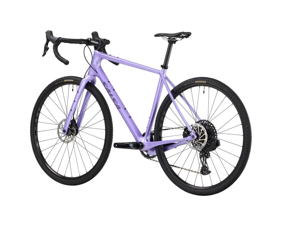 Salsa Warbird C Rival GX Eagle AXS (Lilac) (56cm)