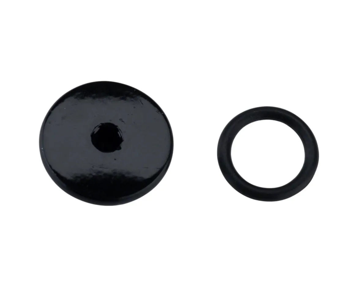 Shimano Bleed Port Screw & O-Ring (Dura-Ace/Ultegra)