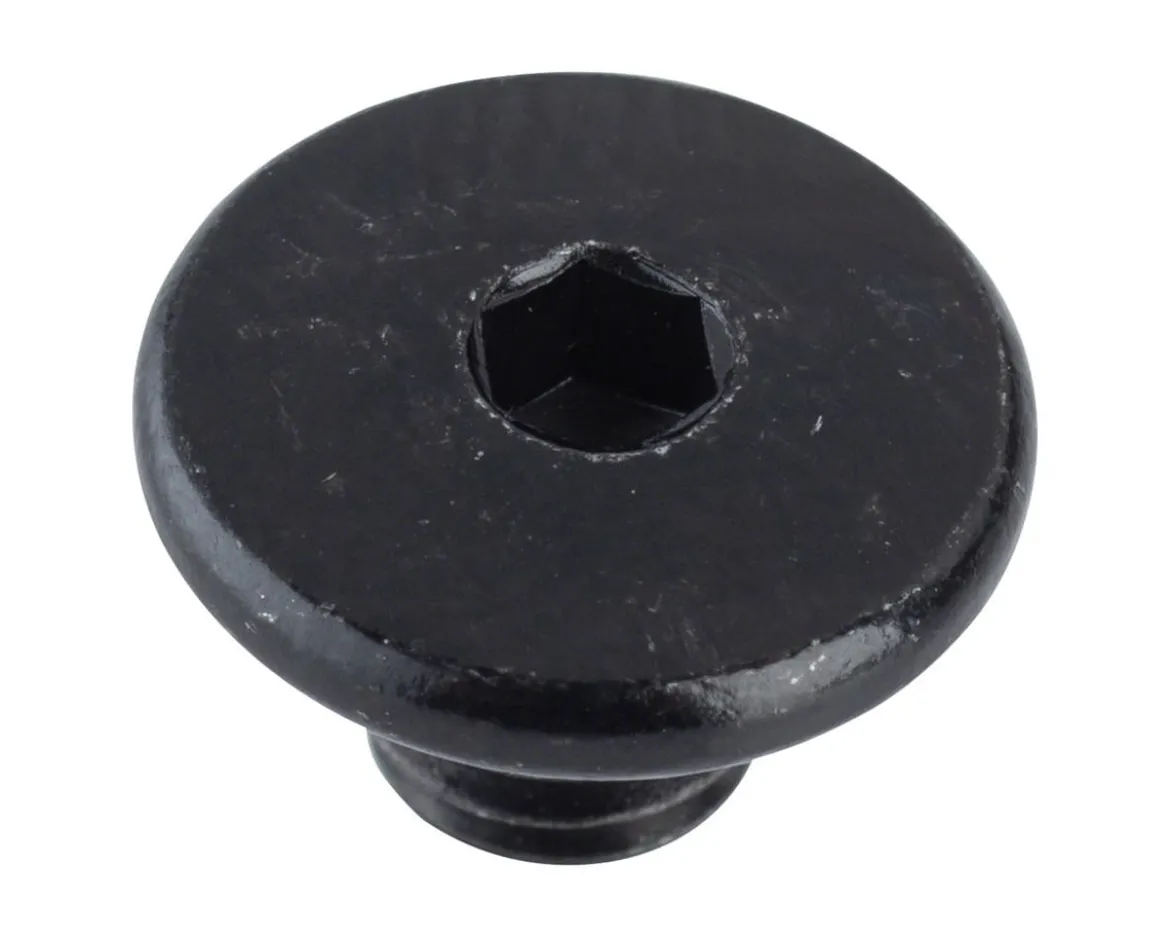 Shimano Bleed Port Screw & O-Ring (SLX/Deore)