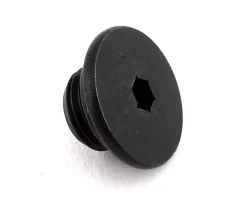 Shimano Bleed Port Screw & O-Ring (105)