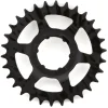Shimano Steps CS-C7000 Single Sprocket for E-Bike (Black) (30T) (Shimano Nexus Hubs)