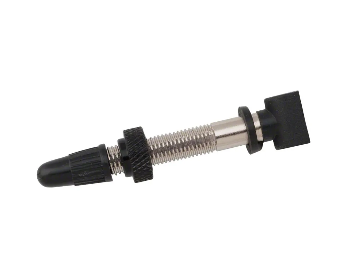 Shimano Tubeless Valve Unit (Silver) (1) (48mm)