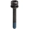 Shimano Flat Mount Disc Brake Caliper Fixing Bolts (Black) (31.8mm)