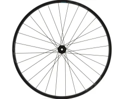 Shimano RS171 Disc Wheel (Black) (Shimano HG 11/12) (Rear) (12 x 142mm) (700c) (Centerlock)