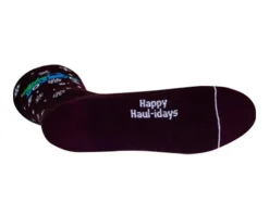 Sockguy 6