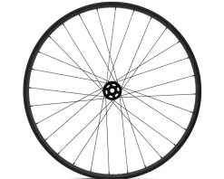 Specialized Control OE Front MTB Wheel (Black) (15 x 110mm) (29