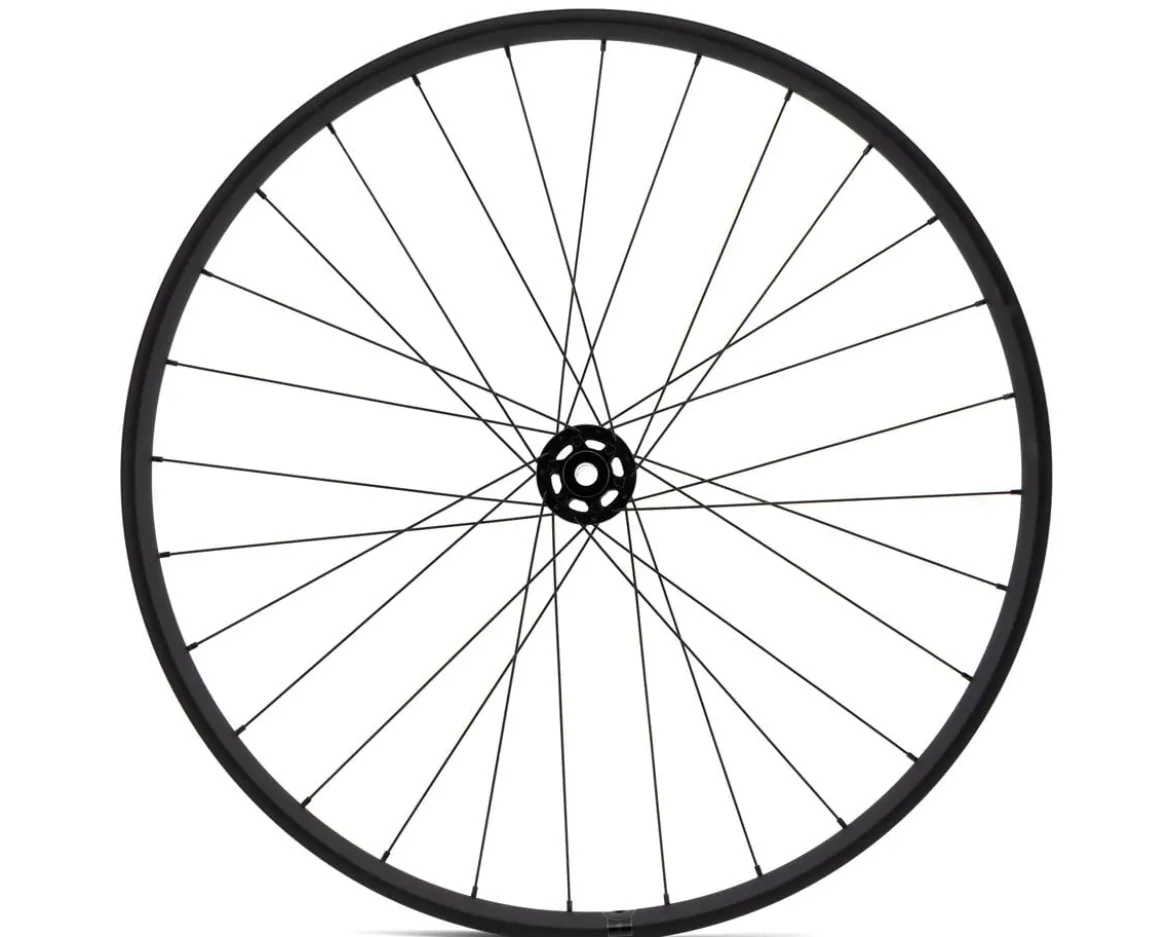 Specialized Control OE Front MTB Wheel (Black) (15 x 110mm) (29")