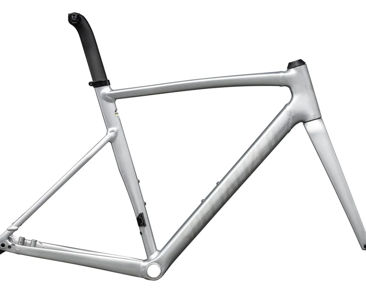 Specialized Allez Sprint Frameset (Satin Fog Tint Brush/Black Pearl) (58cm)