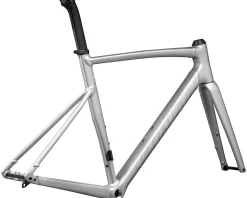 Specialized Allez Sprint Frameset (Satin Fog Tint Brush/Black Pearl) (58cm)