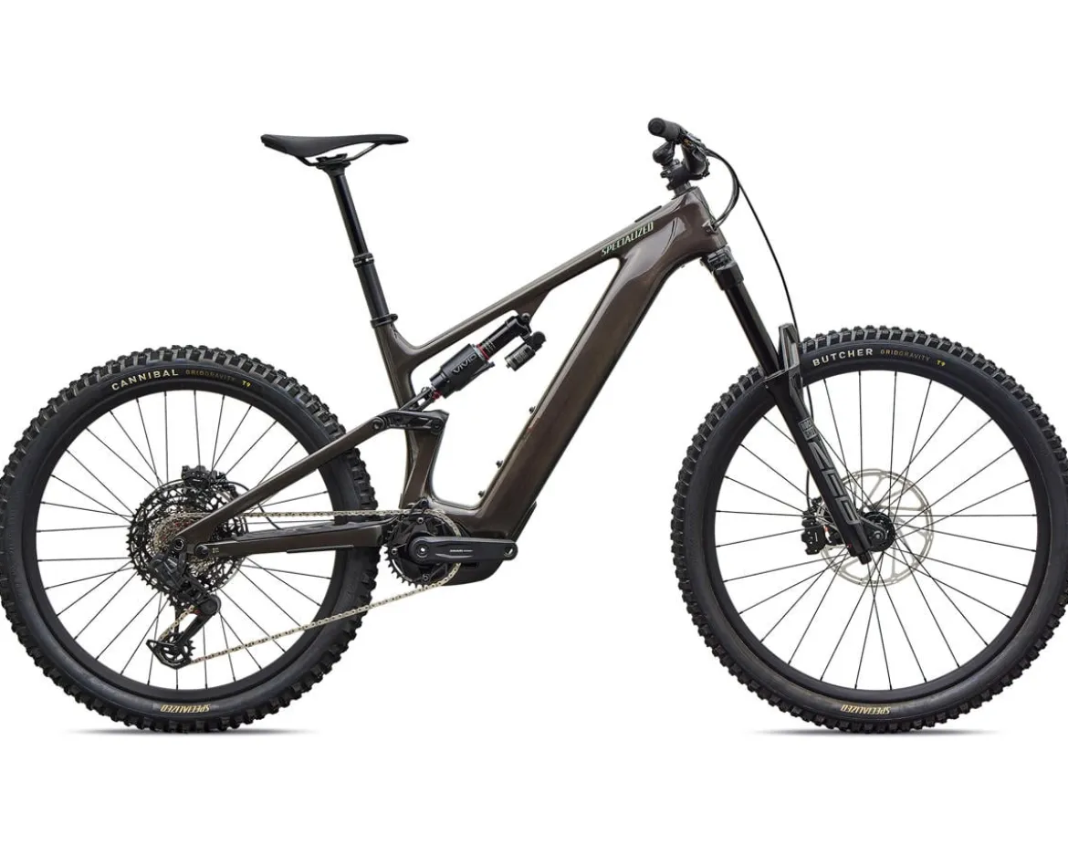 Specialized Levo 4 EVO Comp (Gloss Warm Smoke/Pistachio) (S2)