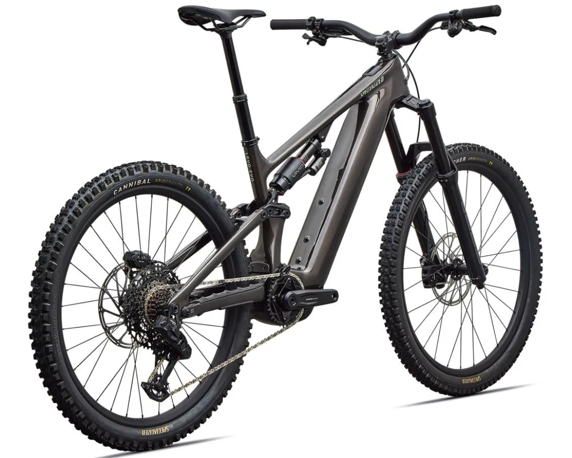 Specialized Levo 4 EVO Comp (Gloss Warm Smoke/Pistachio) (S2)