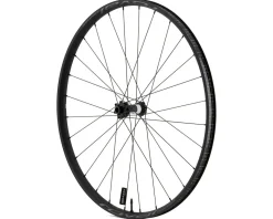 Specialized Roval Control Alloy 350 29