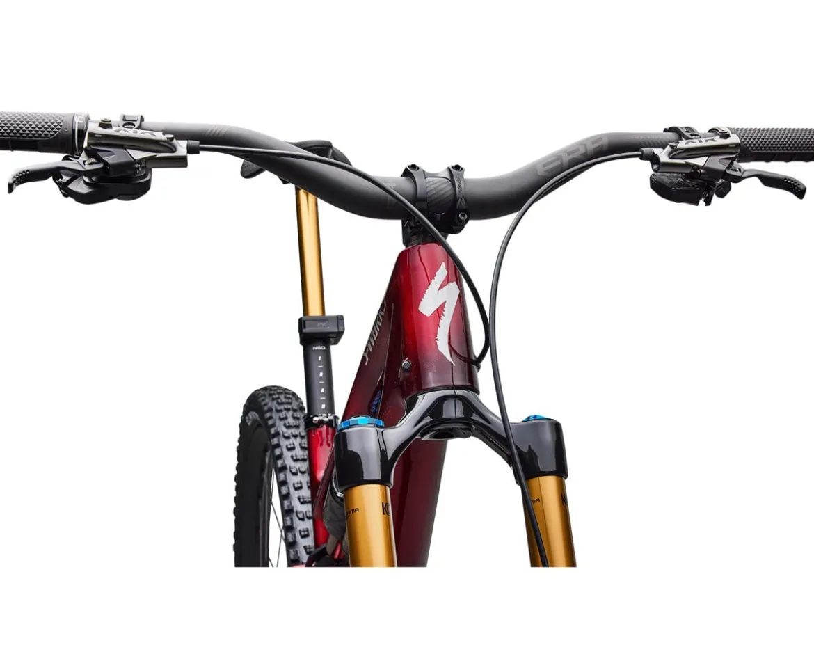 Specialized S-Works Stumpjumper 15 EVO (Solidity/Bordeaux/Brushed Chrome) (S1) (Shimano XTR Di2)