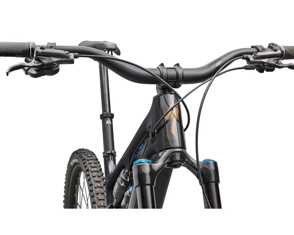 Specialized Turbo Levo SL 2 Expert Di2 (Carbon/Burnt Gold) (S3)