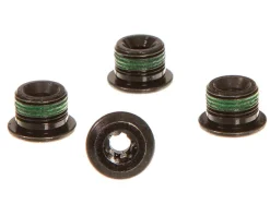 SRAM Bosch/Fazua Chainring Bolt Kit
