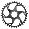 SRAM Eagle Transmission T-Type E-MTB Chainring (Black) (34T) (Brose CL55)