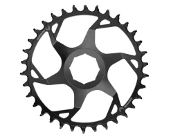 SRAM Eagle Transmission T-Type E-MTB Chainring (Black) (34T) (Brose CL55)