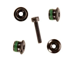 SRAM SBC Mahle Chainring Bolt Kit