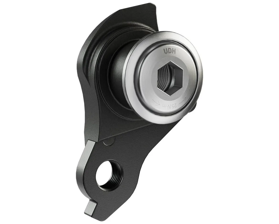SRAM Universal Derailleur Hanger (UDH) (Black/Silver)