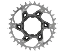 SRAM XX T-Type TQ E-Bike Chainring (12 Speed) (Direct Mount) (Aluminum/Steel) (32T)