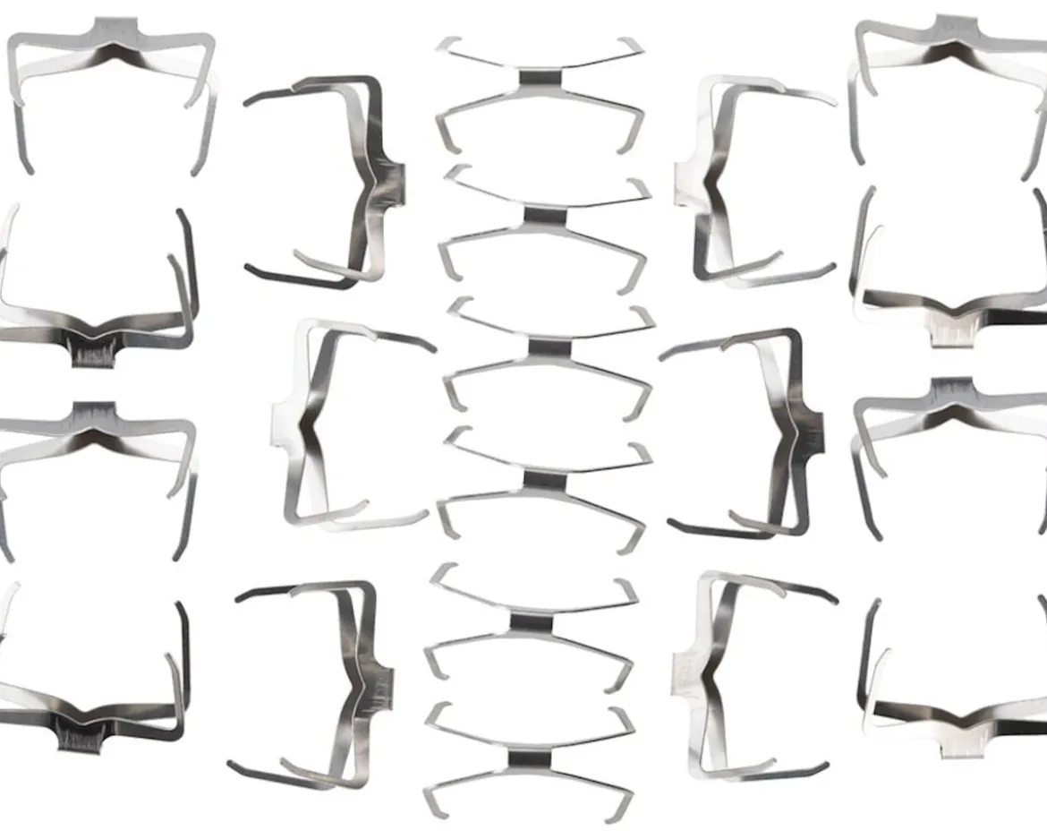 SRAM RED/S700 Disc Brake Pad H-Springs (20 Pack) (B1)