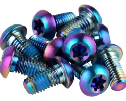 SRAM Titanium Rotor Bolt Kit (Rainbow) (T25) (Set of 12)