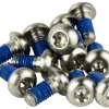 SRAM Titanium Rotor Bolt Kit (Silver) (T25) (Set of 12)