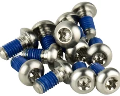 SRAM Titanium Rotor Bolt Kit (Silver) (T25) (Set of 12)