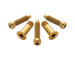 Terske Rear Derailleur Bolt Kit (Gold) (Shimano A)