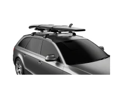 Thule 810001 SUP Taxi XT (Pair)