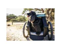 Thule Bexey Dog Bed (M)