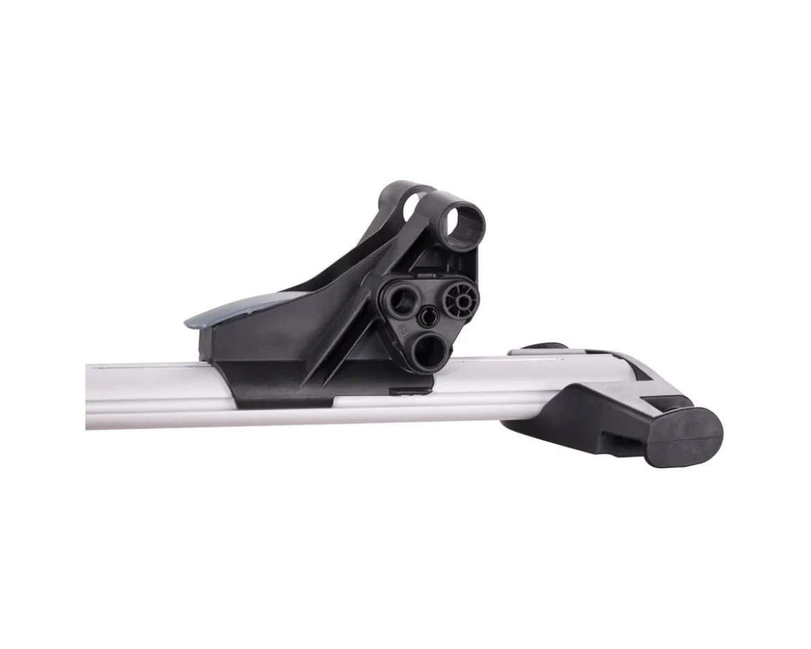 Thule Roundtrip MTB Case