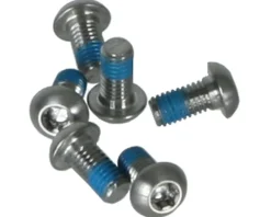 TRP Titanium Rotor Bolts