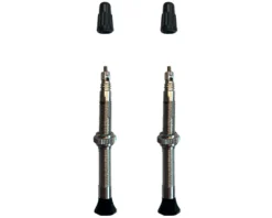 Vittoria Singleway Tubeless Brass Valve (Silver/Black) (Pair) (60mm)
