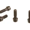 Zipp SL Sprint Faceplate Bolt Kit