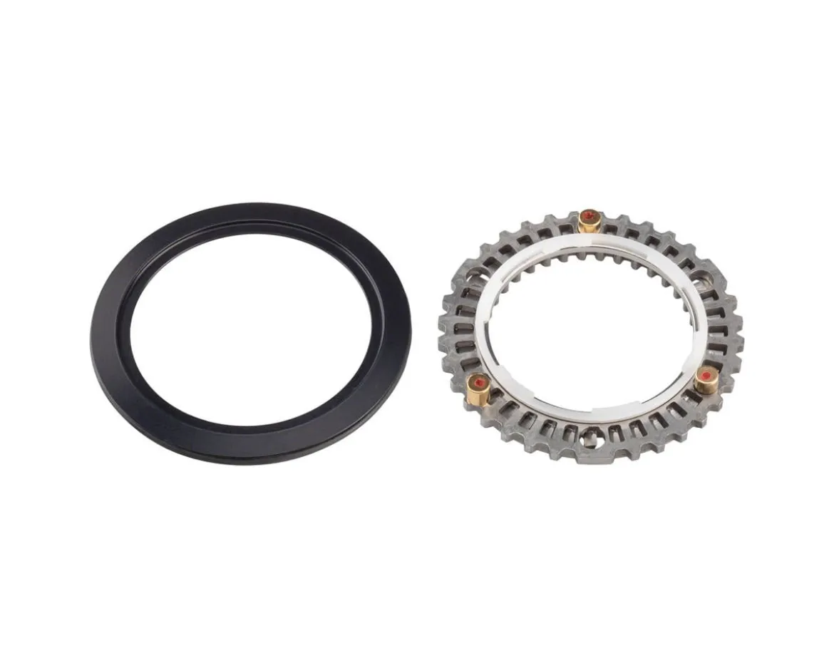 Zipp Cognition NSW Clutch Assembly and Seal (Rear Wheel)