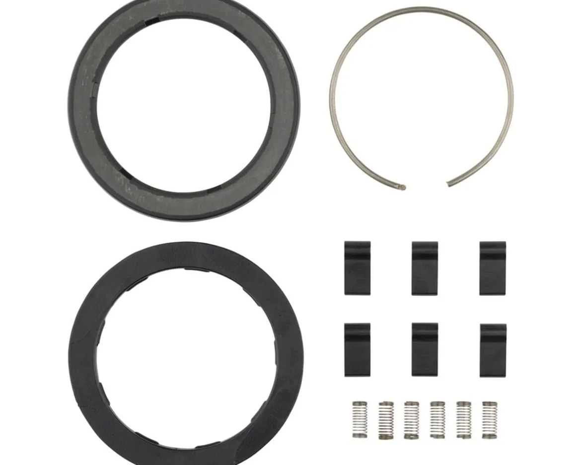 Zipp Spring & Pawl Set (ZR1)